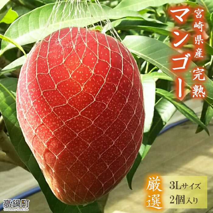 【先行予約】残り僅か！＜宮崎県産 完熟マンゴー (3Lサイズ2個)＞ 2026年4月上旬～9月上旬迄に順次出荷 | 果物 果実 フルーツ マンゴー くだもの 人気 特産品 完熟 国産 期間限定 数量限定 年内出荷 宮崎県 高鍋町【冷蔵】