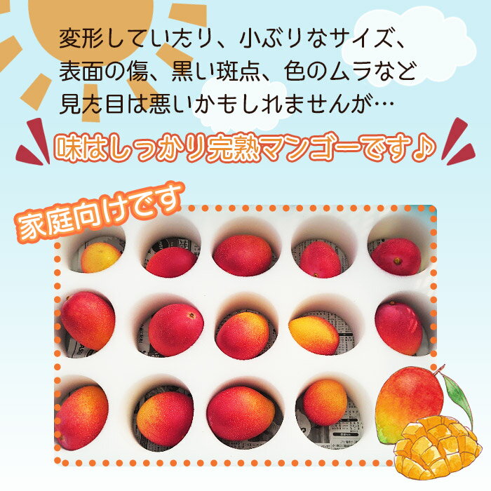 【ふるさと納税】【先行予約】＜宮崎県産完熟マンゴー｢家庭用｣(約1.5kg)＞ 2026年7月上旬～9月上旬迄に順次出荷 果物 フルーツ マンゴー くだもの 特産品 完熟 国産 ご家庭用 宮崎県 高鍋町【冷蔵】 サムネイル2