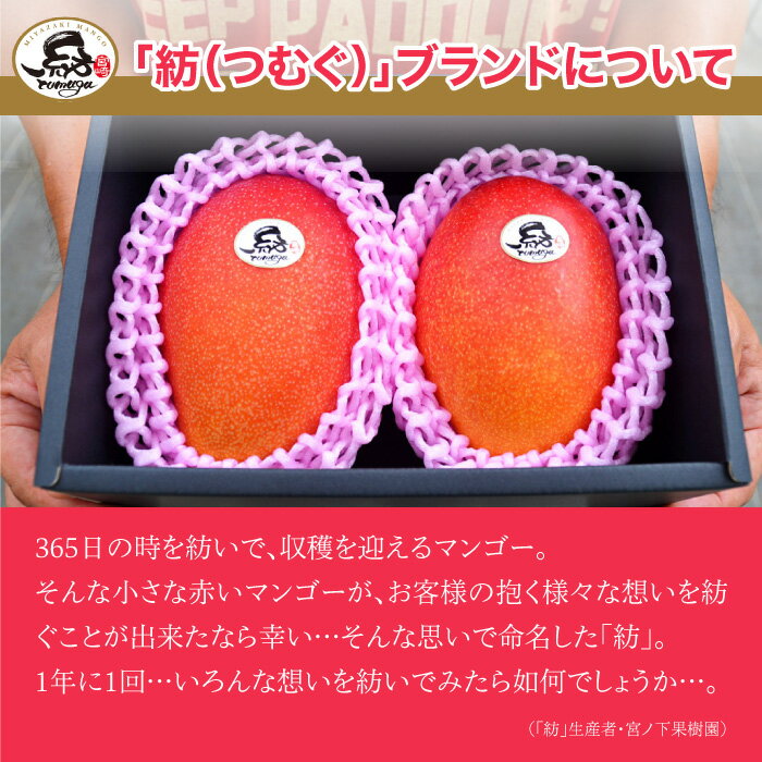 【ふるさと納税】【先行予約】＜宮崎県産 完熟マンゴー｢紡｣ (約300g～約350g 2個もしくは約260g～約300g 3個)＞ 2026年7月中旬～9月中旬迄に順次出荷 果物 フルーツ マンゴー くだもの 特産品 完熟 国産 宮崎県 高鍋町【冷蔵】 サムネイル3