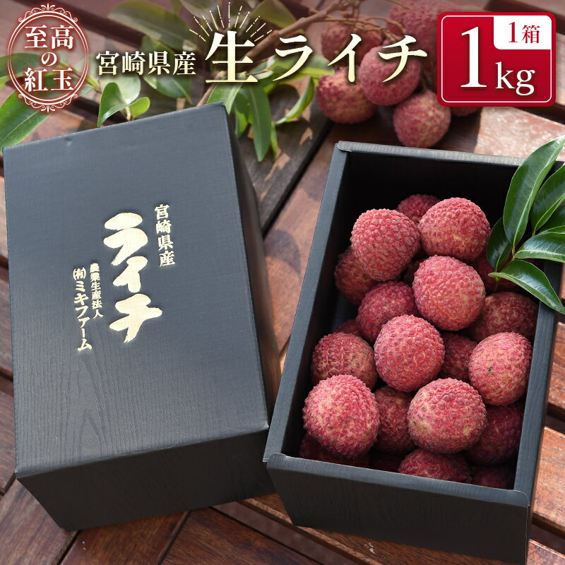 宮崎県産 生ライチ「至高の紅玉」計1kg ≪2026年6月下旬～発送≫ 人気 国産 希少 果物 旬 ギフト プレゼント