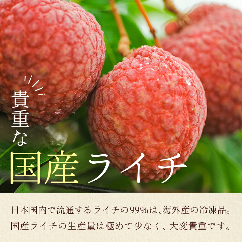 【ふるさと納税】宮崎県産 生ライチ「至高の紅玉」計1kg ≪2026年6月下旬～発送≫ 人気 国産 希少 果物 旬 ギフト プレゼント サムネイル2