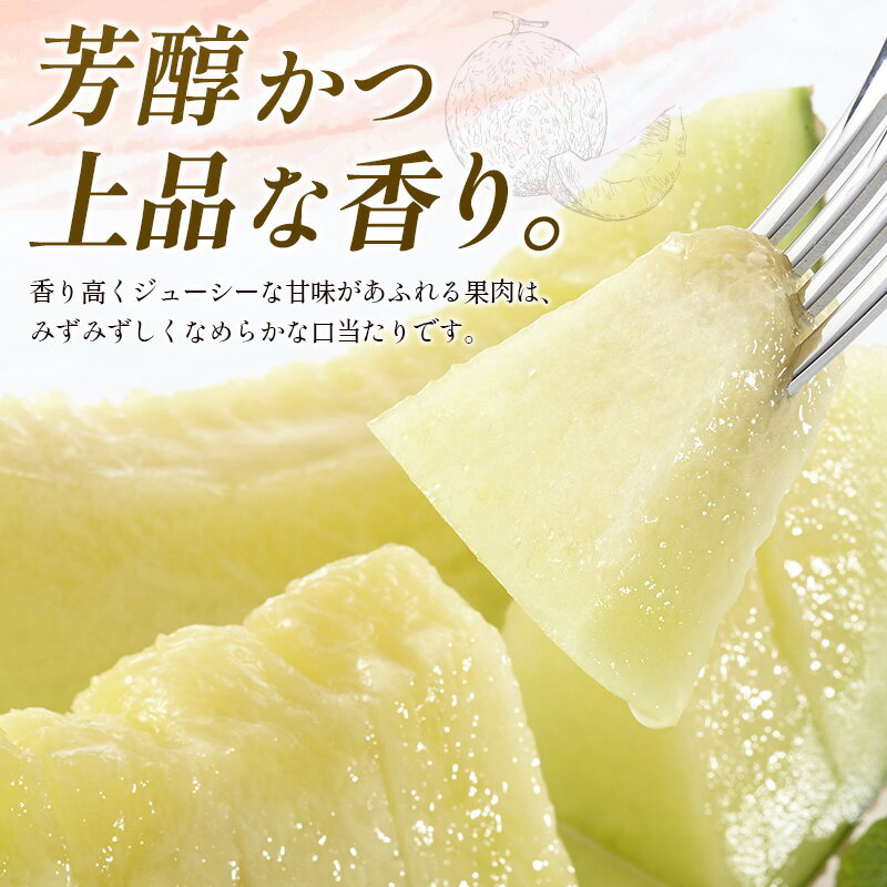 【ふるさと納税】＜数量限定＞しんとみアールスメロン 2L2玉 計3kg以上 先行予約 国産 フルーツ 果物 宮崎県産 サムネイル2