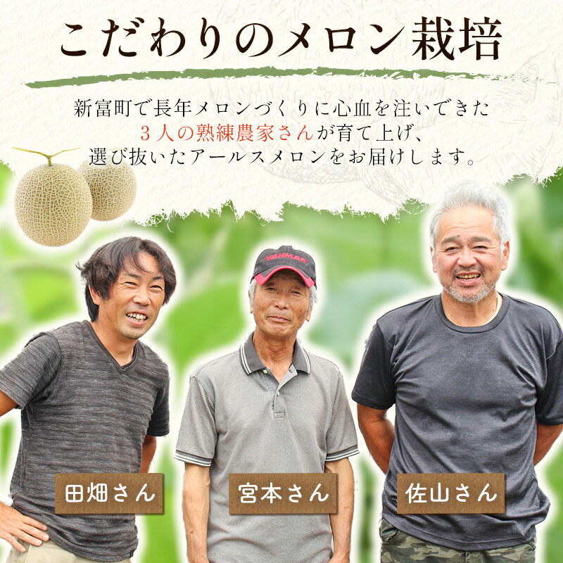 【ふるさと納税】＜数量限定＞しんとみアールスメロン 2L2玉 計3kg以上 先行予約 国産 フルーツ 果物 宮崎県産 サムネイル3