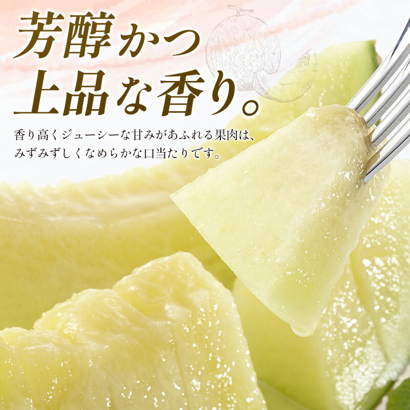 【ふるさと納税】＜数量限定＞大玉 プレミアムアールスメロン 4L1玉 秀品 1.9kg以上 先行予約 国産 贈答 化粧箱入 宮崎県産 サムネイル2