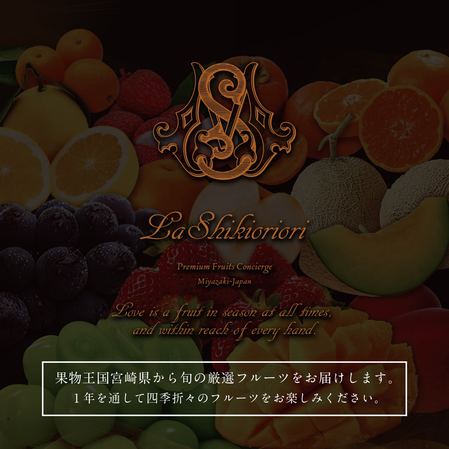 【ふるさと納税】旬のプレミアムフルーツ定期便 12ヵ月コース サムネイル2