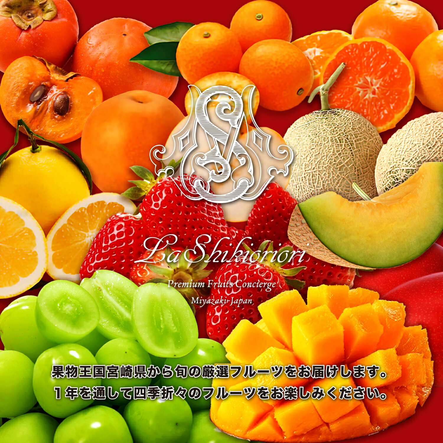 【ふるさと納税】宮崎の旬をお届け！くだもの12か月定期便 サムネイル3