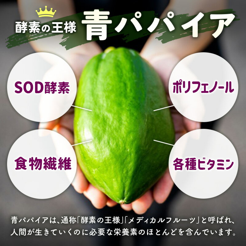 【ふるさと納税】［お試し］青パパイアグラノーラ（100g×1袋）ポスト投函 サムネイル2