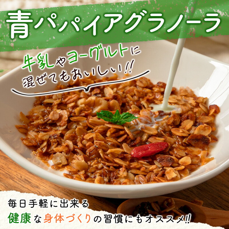 【ふるさと納税】［お試し］青パパイアグラノーラ（100g×1袋）ポスト投函 サムネイル3