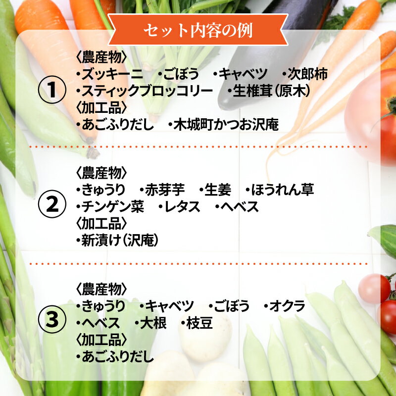 【ふるさと納税】農家おまかせ木城の旬野菜定期便6回 - 産地直送 野菜セット 旬の野菜6〜8品程度 季節の野菜 おまかせ お楽しみ 新鮮 野菜の詰め合わせ 野菜宅配 6回定期便 6ヶ月定期便 送料無料 【宮崎県木城町】 - 画像2