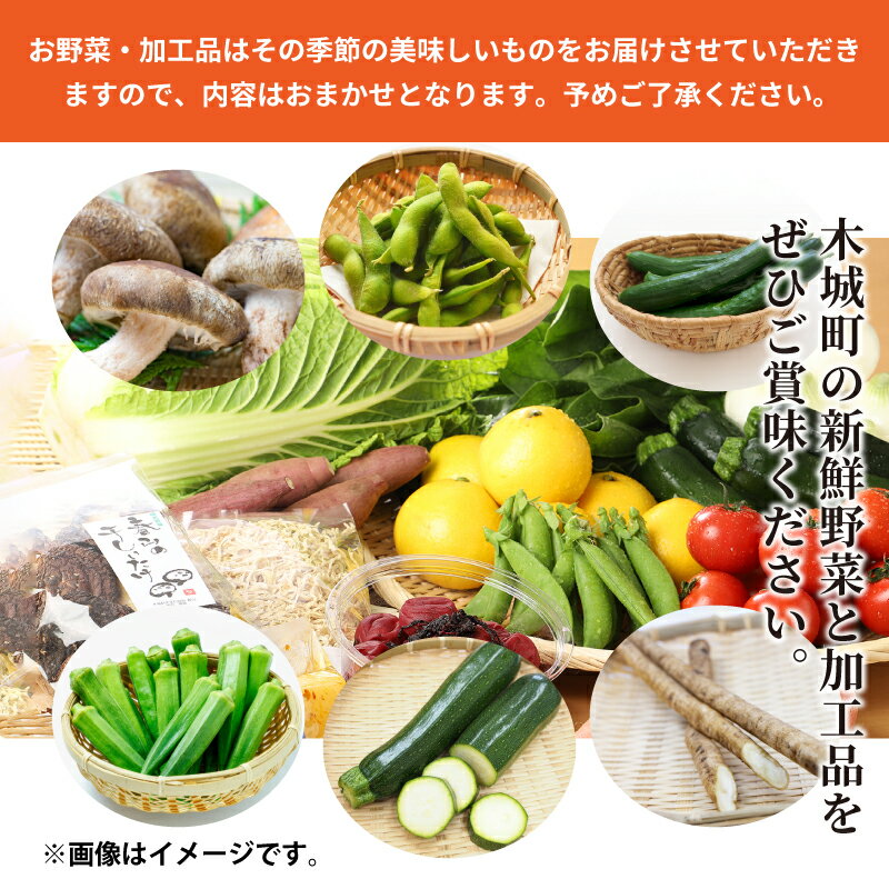 【ふるさと納税】農家おまかせ木城の旬野菜定期便6回 - 産地直送 野菜セット 旬の野菜6〜8品程度 季節の野菜 おまかせ お楽しみ 新鮮 野菜の詰め合わせ 野菜宅配 6回定期便 6ヶ月定期便 送料無料 【宮崎県木城町】 - 画像3