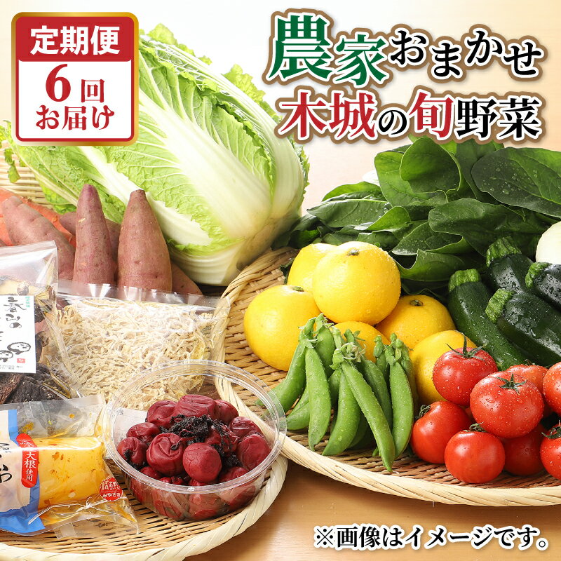 農家おまかせ木城の旬野菜定期便6回 - 産地直送 野菜セット 旬の野菜6〜8品程度 季節の野菜 おまかせ お楽しみ 新鮮 野菜の詰め合わせ 野菜宅配 6回定期便 6ヶ月定期便 送料無料 【宮崎県木城町】