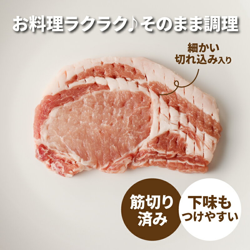 【ふるさと納税】贅沢宮崎県産豚肉ロース100gカット - お試し10枚/20枚/30枚 小分け とんかつ用 筋切り加工済み とんかつ肉 国産豚肉 総重量3kg 生姜焼き/トンテキ/ポークソテーに 豚ロース ファミリー向け 冷凍 送料無料【宮崎県木城町】 サムネイル3