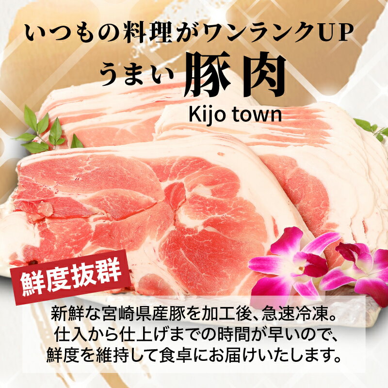 【ふるさと納税】【訳あり】宮崎県産豚切落し 3kg/3.5kg/4kg/5kg 国産豚肉 切り落とし 形・大きさ サイズ不揃い 豚こま 冷凍 訳アリ 500gの小分け 生姜焼き 大容量 食品 家庭料理 送料無料 【宮崎県木城町】 サムネイル2