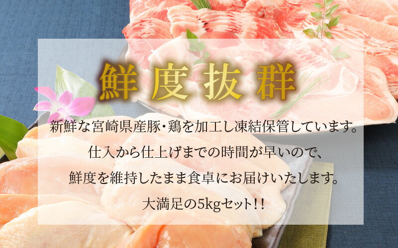 【ふるさと納税】宮崎県産豚・鶏5kgセット - 鶏むね肉3kg(真空パック) 豚こま2kg(トレー) 国産鶏肉×国産豚肉のセット 鶏ムネ肉 豚肉 小間切れ こま切れ 豚肉 切り落とし 送料無料【宮崎県木城町】 サムネイル2