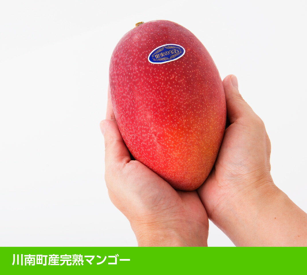 【ふるさと納税】【令和8年発送】宮崎県産完熟マンゴー「果実の宝石」　4L×1玉 - 果物 フルーツ マンゴー 宮崎県産 みやざきマンゴー 先行予約 数量限定 期間限定 送料無料 C03705 サムネイル2