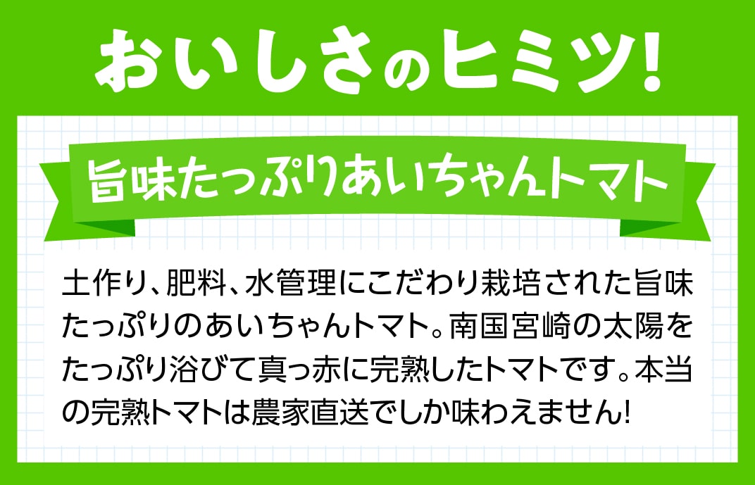 【ふるさと納税】 【令和8年発送】【訳あり】宮崎県産トマト　フルーツトマト「あいちゃん」3kg - 新鮮 ミニトマト とまと 野菜 産地直送 宮崎県産川南町産 送料無料 C03903 - 画像3