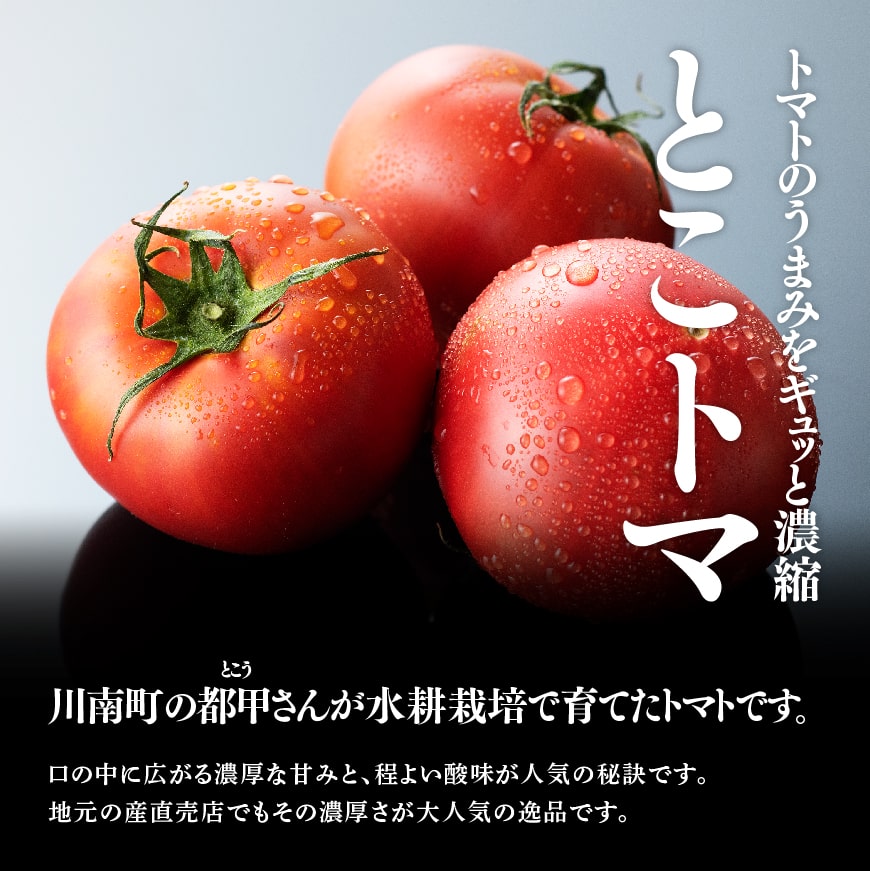 【ふるさと納税】宮崎県産トマト　とこうさんのトマト1kg（9～18個） - とまと トマト マト とまと 野菜 農家直送 産地直送 ミネラル豊富 ヘルシー 新鮮 濃厚な甘み 程よい酸味 美味しい 出荷前 品質チェック 宮崎県産 川南町産 C06601 送料無料 - 画像2