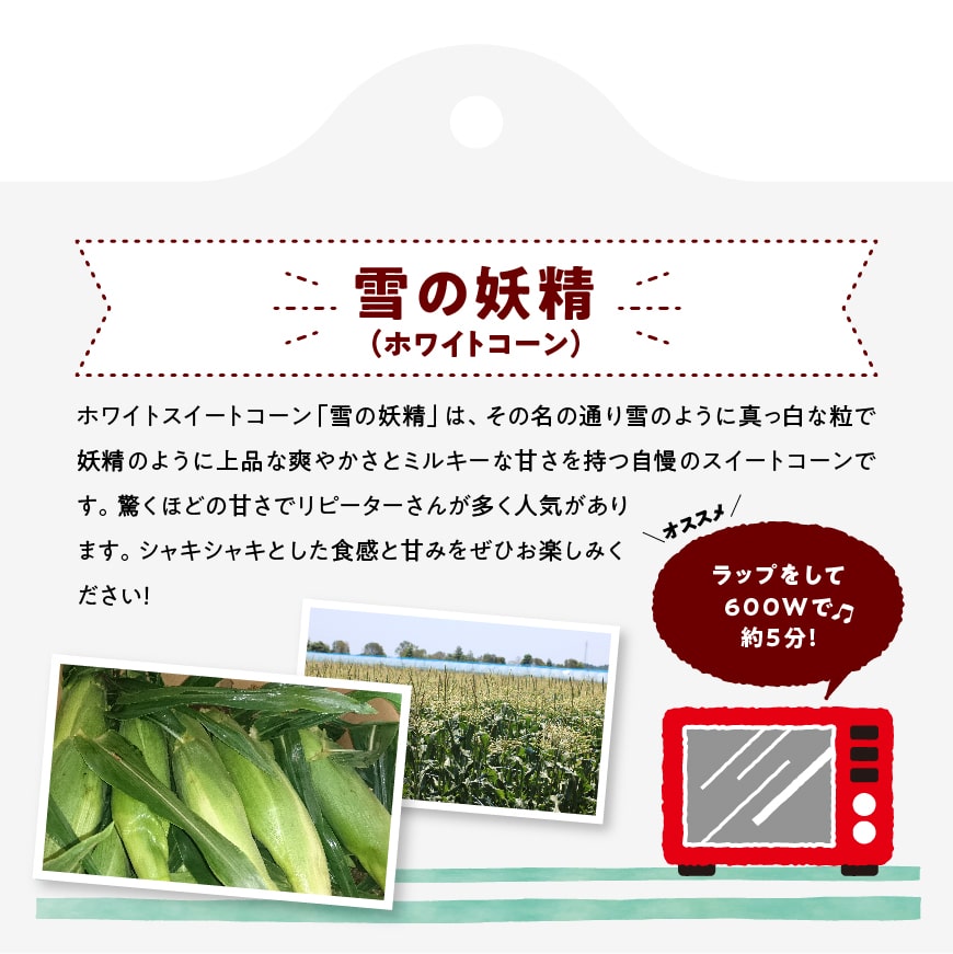 【ふるさと納税】【令和8年発送】大山さんちのホワイトコーン(雪の妖精)4.5kg - 先行予約 数量限定 期間限定 季節限定 送料無料 とうもろこし 大山農園 スイートコーン C07102 サムネイル2