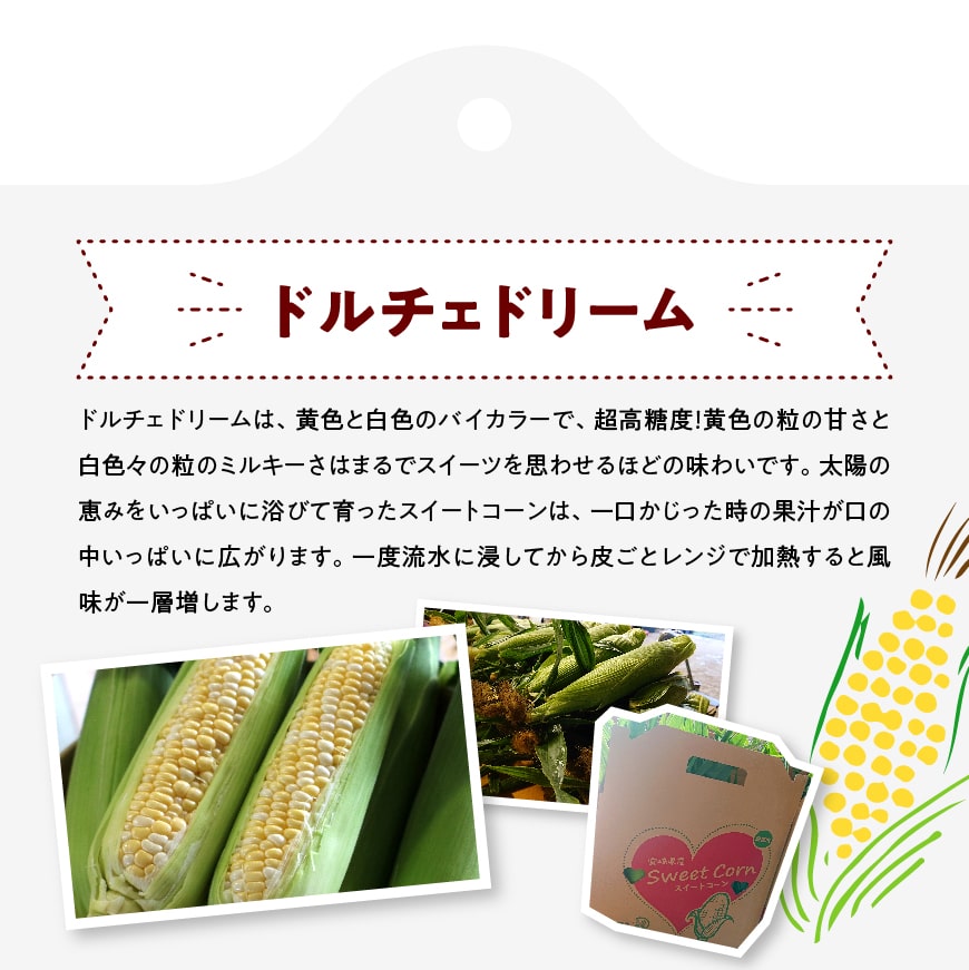 【ふるさと納税】【令和8年発送】大山さんちのスイートコーン食べ比べセット4.5kg (雪の妖精＆ドルチェドリーム) - 季節限定 数量限定 先行予約 期間限定 送料無料 セット 九州産 宮崎県産 川南町産 とうもろこし C07103 サムネイル2