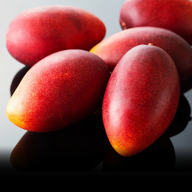 【ふるさと納税】【令和8年発送】宮崎マンゴー 太陽の子2玉（1kg以上） - 果物 くだもの フルーツ 宮崎マンゴー 送料無料 C06701 - 画像2