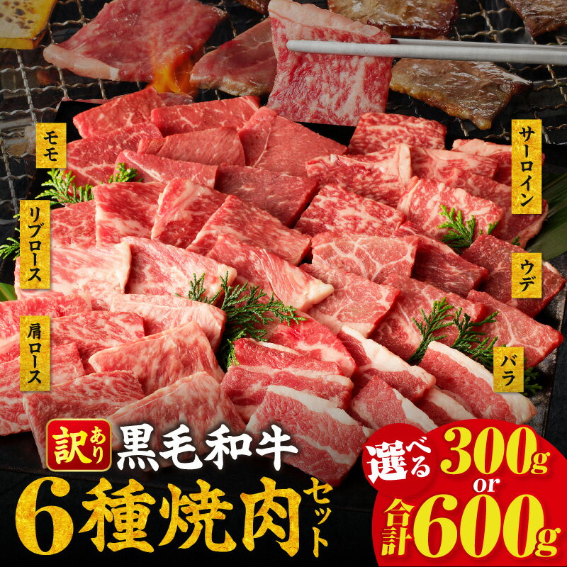 【訳あり】【内容量・発送月が選べる】生産者応援！ 黒毛和牛 6種 サーロイン 肩ロース リブロース モモ ウデ バラ 焼肉 300g 600g 数量限定 国産 経産牛 牛肉 赤身 部位 食べ比べ お試しセット 簡単 おすすめ ギフト 冷凍 ミヤチク 宮崎県 都農町 送料無料