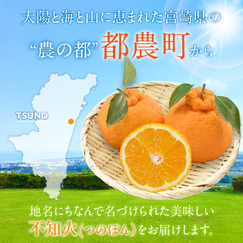 【ふるさと納税】先行予約 ≪数量限定≫ 不知火 (つのぽん) 約4kg フルーツ 果物 くだもの みかん しらぬい 柑橘 2026 国産 期間限定 おすすめ 宮崎 産地直送 フルーツサンド フルーツジュース おすそ分け 手土産 おうち時間 お返し ギフト 贈り物 都農町 送料無料 サムネイル2