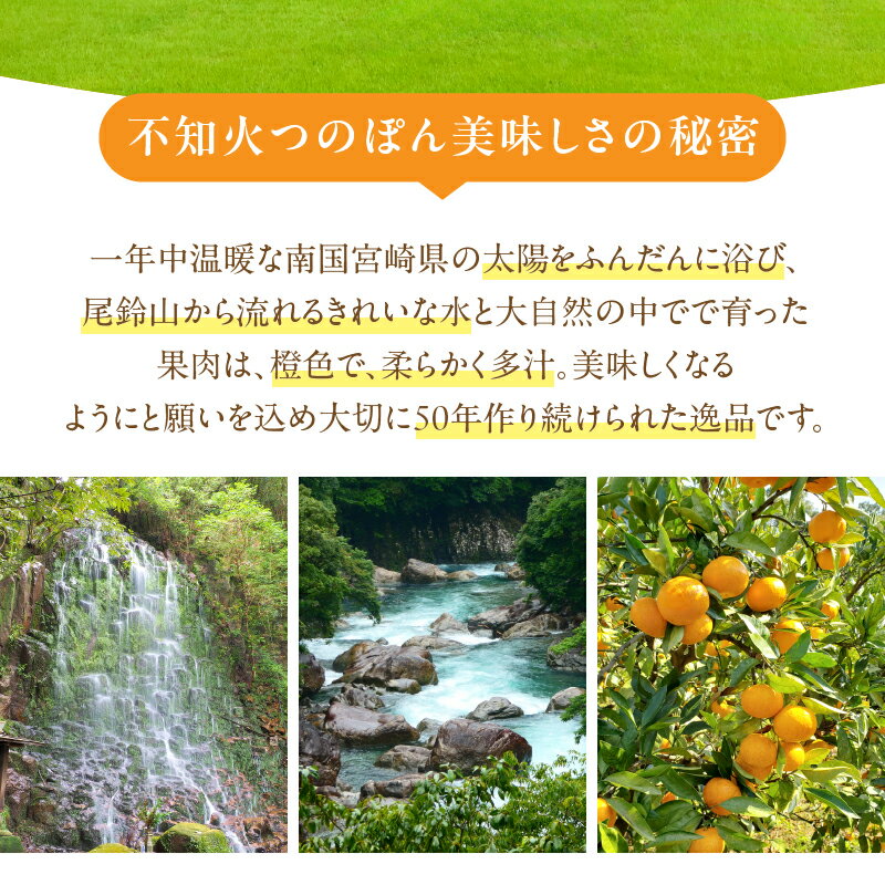 【ふるさと納税】先行予約 ≪数量限定≫ 不知火 (つのぽん) 約4kg フルーツ 果物 くだもの みかん しらぬい 柑橘 2026 国産 期間限定 おすすめ 宮崎 産地直送 フルーツサンド フルーツジュース おすそ分け 手土産 おうち時間 お返し ギフト 贈り物 都農町 送料無料 サムネイル3