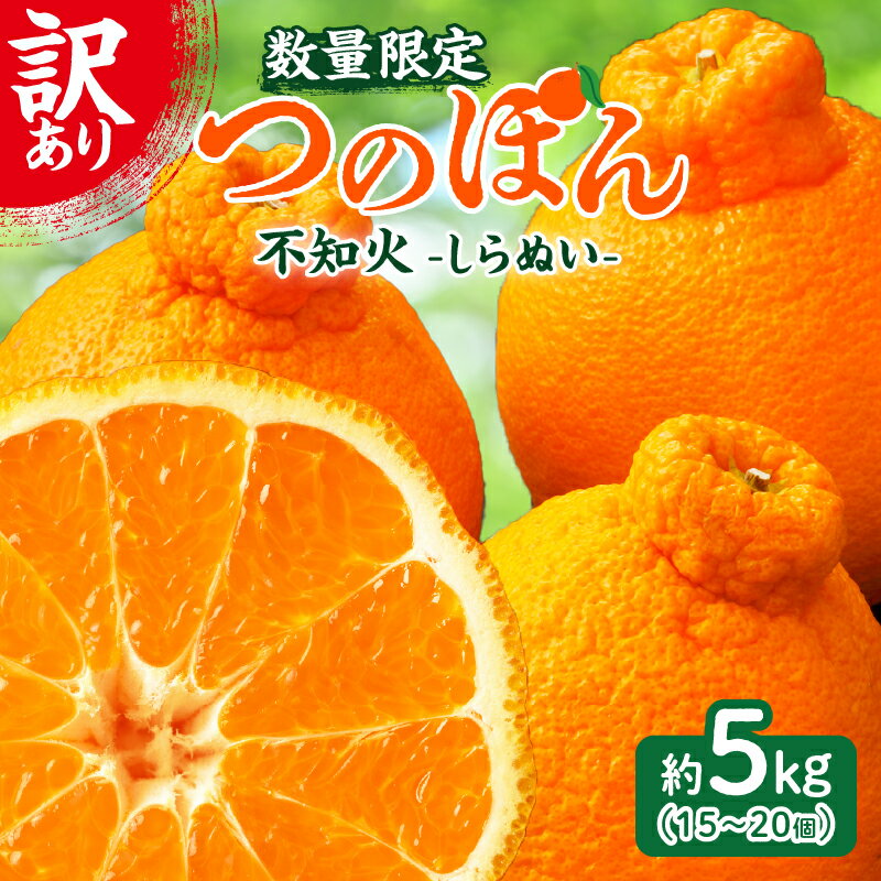 先行予約 ≪ 数量限定 ≫ 訳あり 不知火 (つのぽん) 約5kg フルーツ 果物 くだもの みかん しらぬい 柑橘 2026 国産 期間限定 おすすめ 宮崎 産地直送 フルーツサンド フルーツジュース 傷 バラツキ 不揃い おすそ分け 手土産 おうち時間 都農町 送料無料