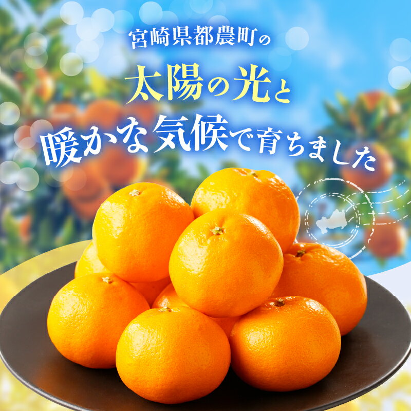 【ふるさと納税】先行予約 数量限定 希少な 柑橘 はるみ 5kg フルーツ 果物 くだもの みかん ポンカン オレンジ 果実 薄皮 甘い 果肉 食品 グルメ デザート 人気 おすすめ おすそ分け 手土産 おやつ 詰め合わせ お取り寄せ 宮崎県 都農町 送料無料 サムネイル3