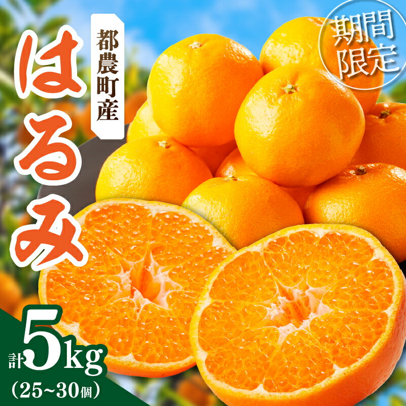 先行予約 数量限定 希少な 柑橘 はるみ 5kg フルーツ 果物 くだもの みかん ポンカン オレンジ 果実 薄皮 甘い 果肉 食品 グルメ デザート 人気 おすすめ おすそ分け 手土産 おやつ 詰め合わせ お取り寄せ 宮崎県 都農町 送料無料