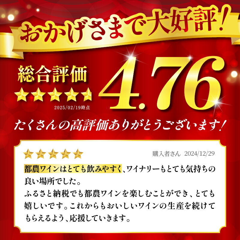 【ふるさと納税】【定期便も選べる】高評価☆4.76 都農ワイン セレクト セット 3本 酒 飲料 アルコール 国産 飲み比べ 赤ワイン ロゼ 甘口 辛口 ドライ ギフト 贈り物 贈答 スパークリングワイン ぶどう ブドウ お祝い 記念日 パーティー 晩酌 宮崎県 都農町 送料無料 サムネイル2
