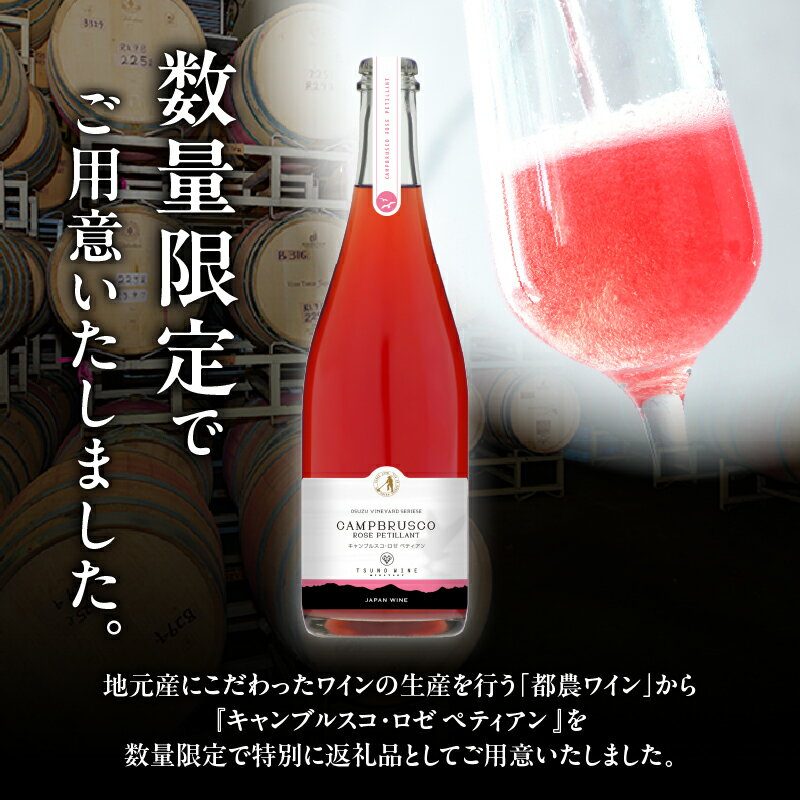 【ふるさと納税】【数量限定】キャンブルスコ・ロゼ ペティアン 計1本 ワイン スパークリングワイン 酒 アルコール 国産 飲料 果実酒 ぶどう 都農ワイン おすすめ 家飲み 晩酌 パーティー ご褒美 記念日 お祝い ギフト 贈答 贈り物 プレゼント 宮崎県 都農町 送料無料 サムネイル2