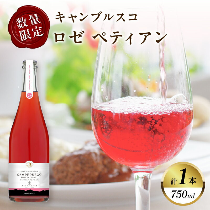 【数量限定】キャンブルスコ・ロゼ ペティアン 計1本 ワイン スパークリングワイン 酒 アルコール 国産 飲料 果実酒 ぶどう 都農ワイン おすすめ 家飲み 晩酌 パーティー ご褒美 記念日 お祝い ギフト 贈答 贈り物 プレゼント 宮崎県 都農町 送料無料