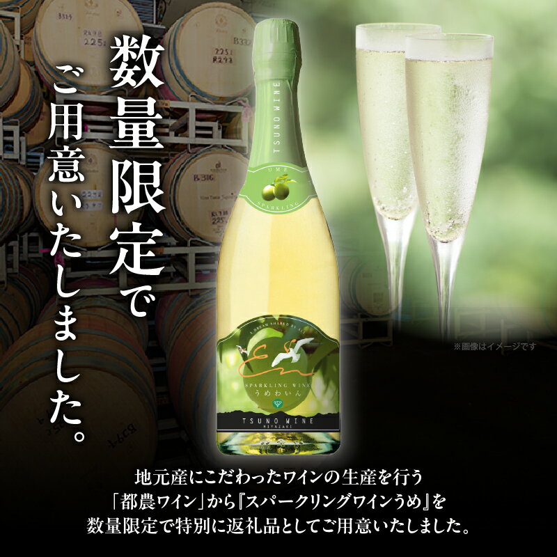 【ふるさと納税】【数量限定】スパークリングワイン うめ 計1本 国産 飲料 酒 アルコール 果実酒 梅 都農ワイン フルーツワイン 甘口 おすすめ 贅沢 ご褒美 家飲み 晩酌 パーティー 記念日 お祝い ギフト 贈答 贈り物 プレゼント 常温 ポリフェノール 宮崎県 都農町 送料無料 サムネイル2