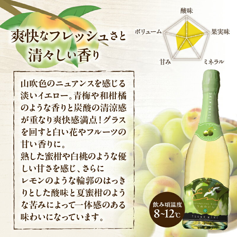 【ふるさと納税】【数量限定】スパークリングワイン うめ 計1本 国産 飲料 酒 アルコール 果実酒 梅 都農ワイン フルーツワイン 甘口 おすすめ 贅沢 ご褒美 家飲み 晩酌 パーティー 記念日 お祝い ギフト 贈答 贈り物 プレゼント 常温 ポリフェノール 宮崎県 都農町 送料無料 サムネイル3