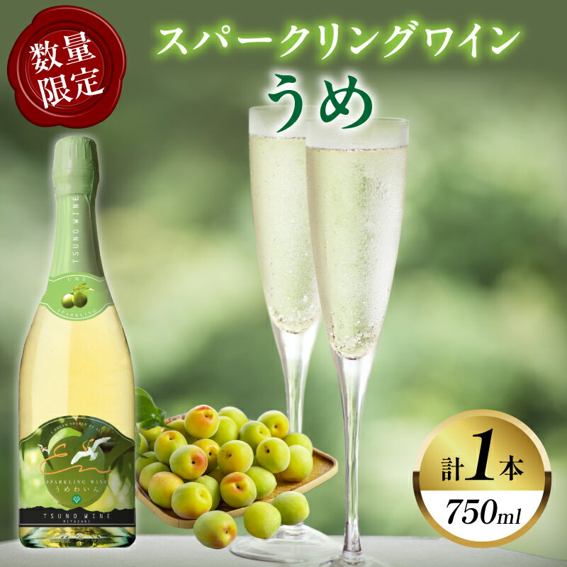 【数量限定】スパークリングワイン うめ 計1本 国産 飲料 酒 アルコール 果実酒 梅 都農ワイン フルーツワイン 甘口 おすすめ 贅沢 ご褒美 家飲み 晩酌 パーティー 記念日 お祝い ギフト 贈答 贈り物 プレゼント 常温 ポリフェノール 宮崎県 都農町 送料無料