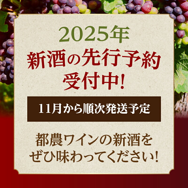 【ふるさと納税】先行予約【選べる配送・定期便】都農ワイン 赤 ロゼ 辛口 甘口 2本セット 酒 飲料 アルコール 国産 飲み比べ 赤ワイン ぶどう WINE 食前酒 デザートワイン 食中酒 お祝 記念日 お取り寄せ 人気 おすすめ BBQ バーベキュー 贈答品 宮崎県 都農町 送料無料 サムネイル2