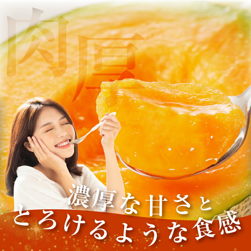 【ふるさと納税】先行予約 期間限定 都農町産 赤肉 メロン 計2玉 フルーツ 果物 青果 くだもの 果実 デザート スイーツ 国産 食品 人気 お土産 ネット系 贈り物 プレゼント ギフト お祝 お礼 おやつ 旬 ジューシー 産地直送 記念日 ご褒美 贅沢 宮崎県 都農町 送料無料 サムネイル3
