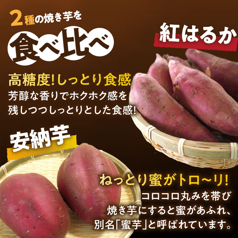 【ふるさと納税】【選べる内容量】冷やし焼き芋(安納芋・紅はるか) 合計800g〜2kg さつまいも イモ 国産 野菜 芋 焼き芋 冷やし芋 ねっとり 甘い 濃厚 熟成 スイートポテト デザート おやつ 小分け 食べ比べ お取り寄せ 宮崎県 都農町 送料無料 - 画像2