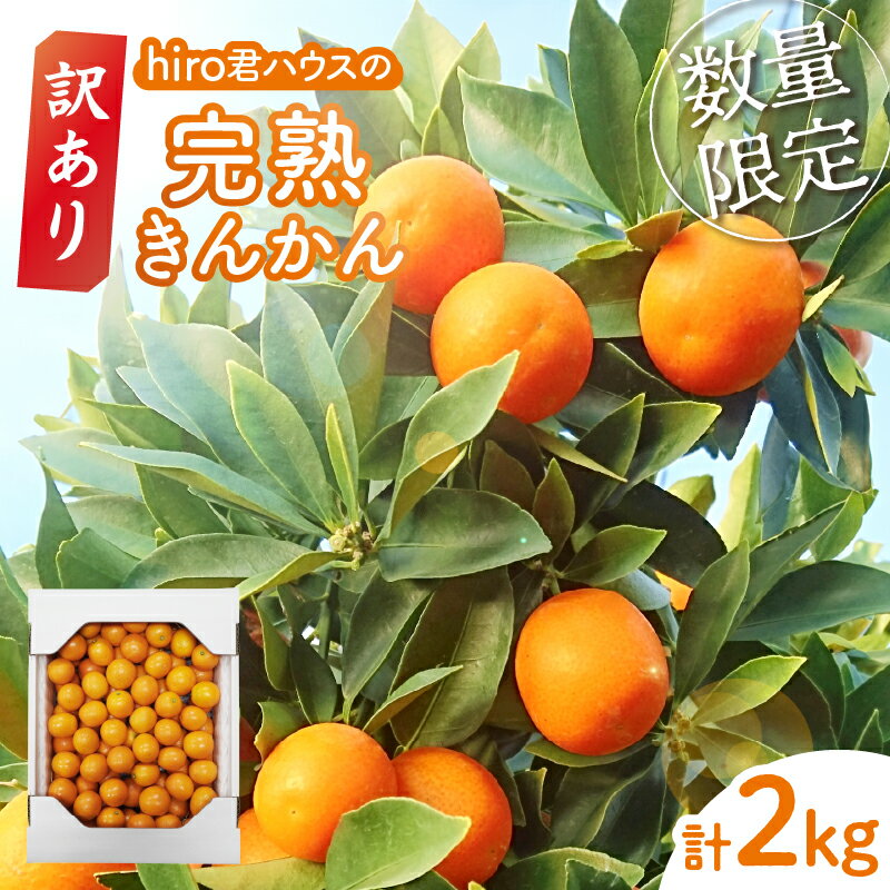 先行予約 数量限定 訳あり hiro君ハウスの 完熟きんかん 計2kg 期間限定 きんかん 金柑 フルーツ 果物 柑橘 食品 お菓子 デザート おやつ 家庭用 不揃い 産地直送 国産 おすそ分け ビタミンC 甘露煮 ジャム サラダ おすすめ 宮崎県 都農町 送料無料