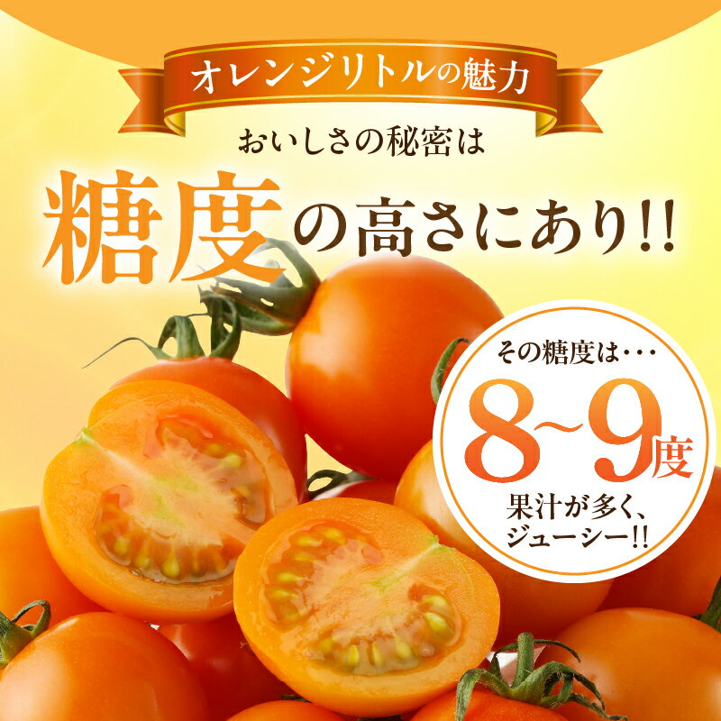 【ふるさと納税】≪ 期間限定 ≫ オレンジリトル 計1.6kg ミニトマト 野菜 やさい サラダ 国産 アヒージョ パスタ 完熟トマト フルーツトマト 新鮮 お土産 産地直送 おやつ おすすめ 人気 贈答 ギフト 贈り物 おすそ分け お返し 青果 宮崎県 都農町 送料無料 - 画像3