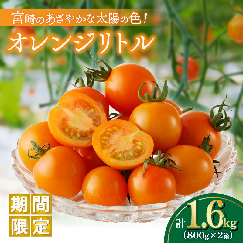 ≪ 期間限定 ≫ オレンジリトル 計1.6kg ミニトマト 野菜 やさい サラダ 国産 アヒージョ パスタ 完熟トマト フルーツトマト 新鮮 お土産 産地直送 おやつ おすすめ 人気 贈答 ギフト 贈り物 おすそ分け お返し 青果 宮崎県 都農町 送料無料