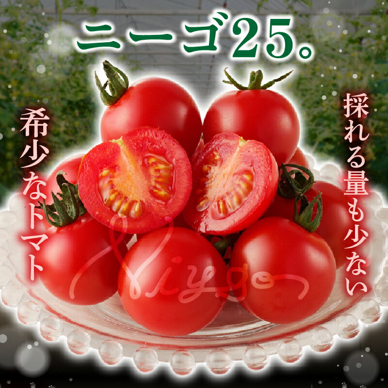 【ふるさと納税】≪ 期間限定 ≫ 高糖度 ミニトマト 『ニーゴ25。』 計1.6kg とまと 野菜 やさい サラダ 国産 フルーツトマト 新鮮 お土産 産地直送 甘い 濃厚 パリッと食感 おやつ おすすめ リコピン お取り寄せ グルメ 青果 宮崎県 都農町 送料無料 - 画像3