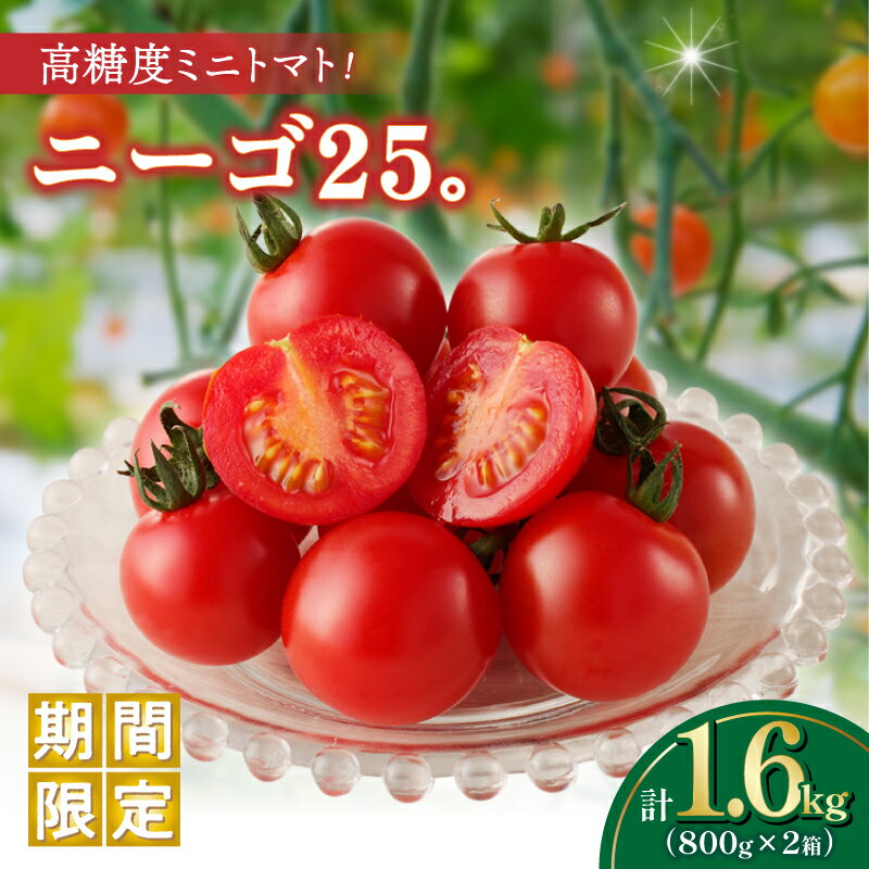 ≪ 期間限定 ≫ 高糖度 ミニトマト 『ニーゴ25。』 計1.6kg とまと 野菜 やさい サラダ 国産 フルーツトマト 新鮮 お土産 産地直送 甘い 濃厚 パリッと食感 おやつ おすすめ リコピン お取り寄せ グルメ 青果 宮崎県 都農町 送料無料