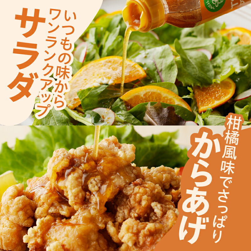 【ふるさと納税】 【内容量が選べる】 TSUNO DRESSING はるみみかん 1本 〜 3本ドレッシング サラダ 唐揚げ チキン南蛮 調味料 加工品 まろやか お取り寄せ 贈り物 果物 野菜 フルーツ 万能 おすすめ 人気 手土産 宮崎県都農町 送料無料 サムネイル2