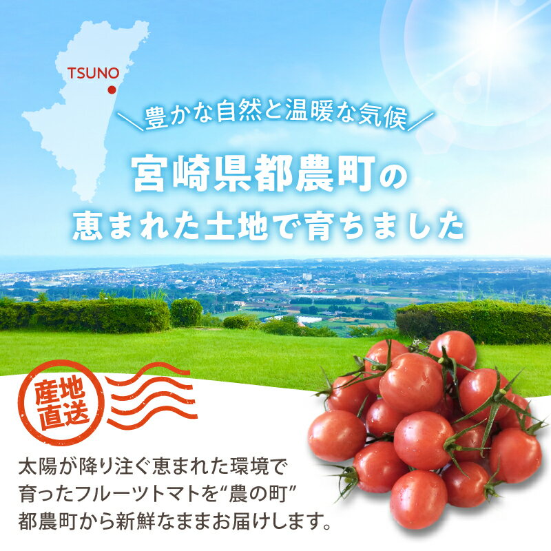 【ふるさと納税】先行予約 期間限定 オリジナル ブランド 「フルーツトマトゆき」 計2kg ミニトマト フルーツトマト 野菜 サラダ 国産 tomato おすすめ おすそ分け トマトジュース 贈り物 ギフト 贈答 おやつ お弁当 アヒージョ パスタ 産地直送 宮崎県 都農町 送料無料 - 画像2