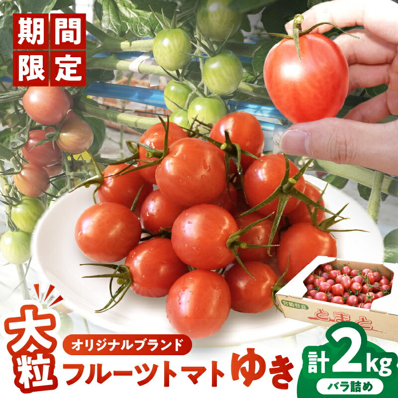 先行予約 期間限定 オリジナル ブランド 「フルーツトマトゆき」 計2kg ミニトマト フルーツトマト 野菜 サラダ 国産 tomato おすすめ おすそ分け トマトジュース 贈り物 ギフト 贈答 おやつ お弁当 アヒージョ パスタ 産地直送 宮崎県 都農町 送料無料