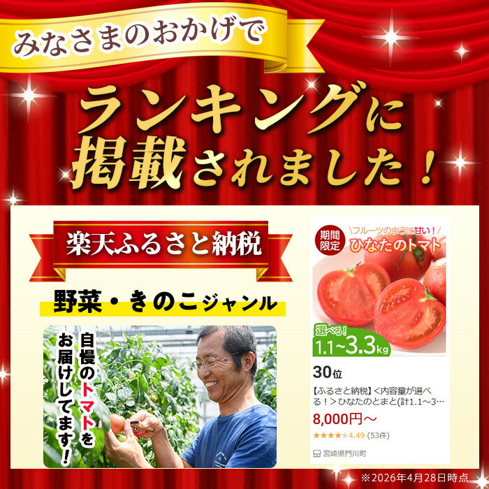 【ふるさと納税】＜内容量が選べる！＞ひなたのとまと(計1.1～3.3kg)トマト フルーツトマト 糖度 9度 以上 野菜 旬野菜 冷蔵 門川町産 宮崎県 門川町【A-3・A-4・A-5】【株式会社 新門トマト農園】 - 画像2