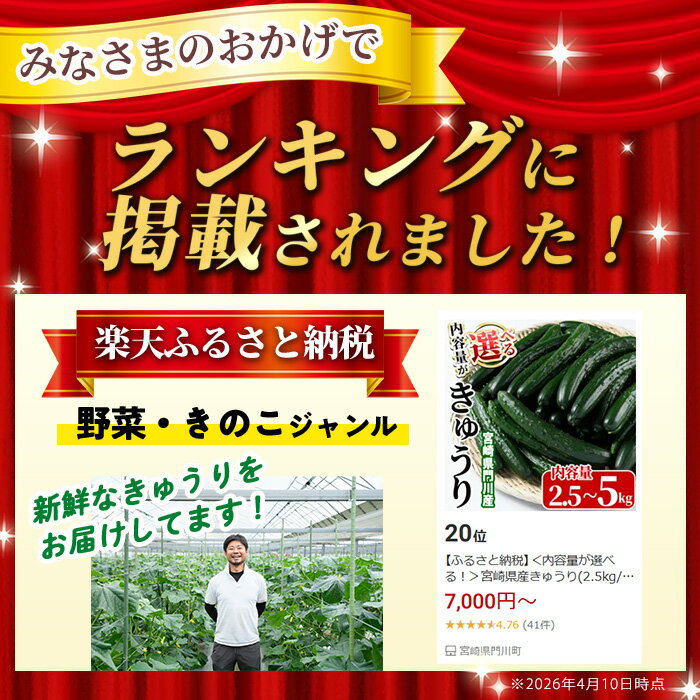 【ふるさと納税】＜内容量が選べる！＞宮崎県産きゅうり(2.5kg/5kg)野菜 やさい 旬 新鮮 サラダ キュウリ 胡瓜 冷蔵 宮崎県産【NS-1・NS-1】【中澤農園】 - 画像2