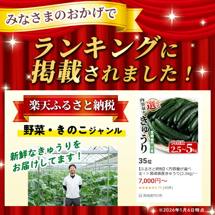 【ふるさと納税】＜内容量が選べる！＞宮崎県産きゅうり(2.5kg/5kg)野菜 やさい 旬 新鮮 サラダ キュウリ 胡瓜 冷蔵 宮崎県産【NS-1・NS-1】【中澤農園】 - 画像2
